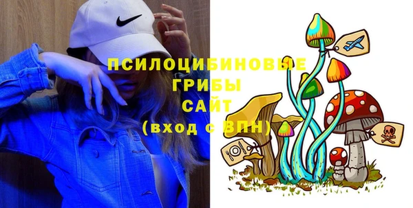 spice Елабуга