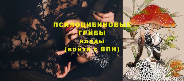 spice Елабуга
