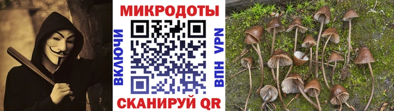 Псилоцибиновые грибы мухоморы  OMG сайт  Жигулёвск  где продают  