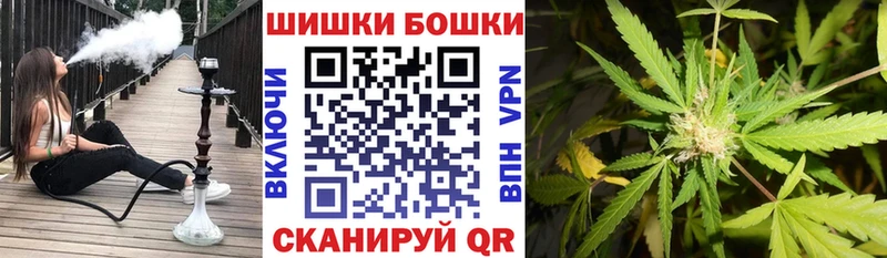 Конопля план  купить   Жигулёвск 
